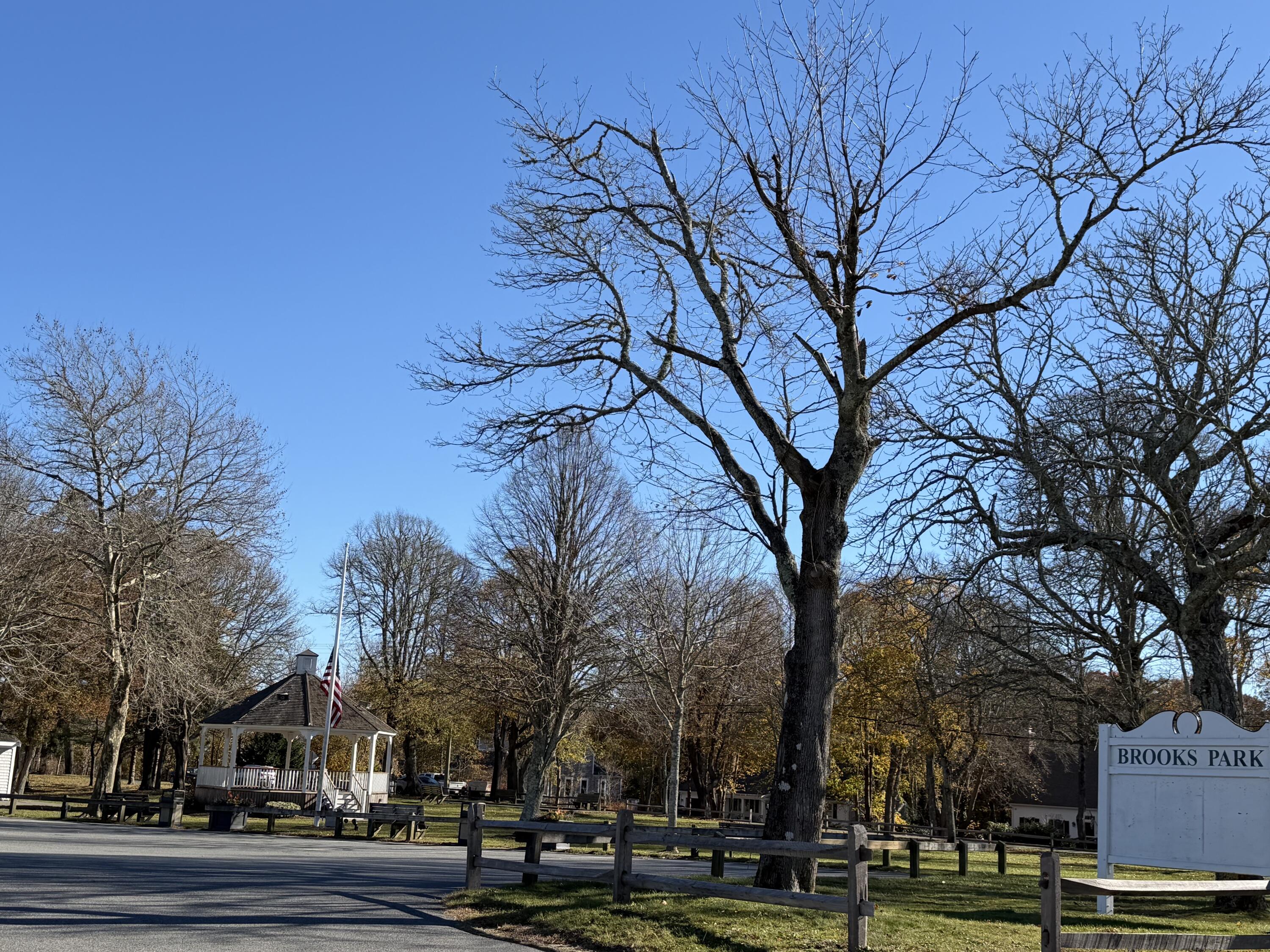 MLS #22505697 image #34