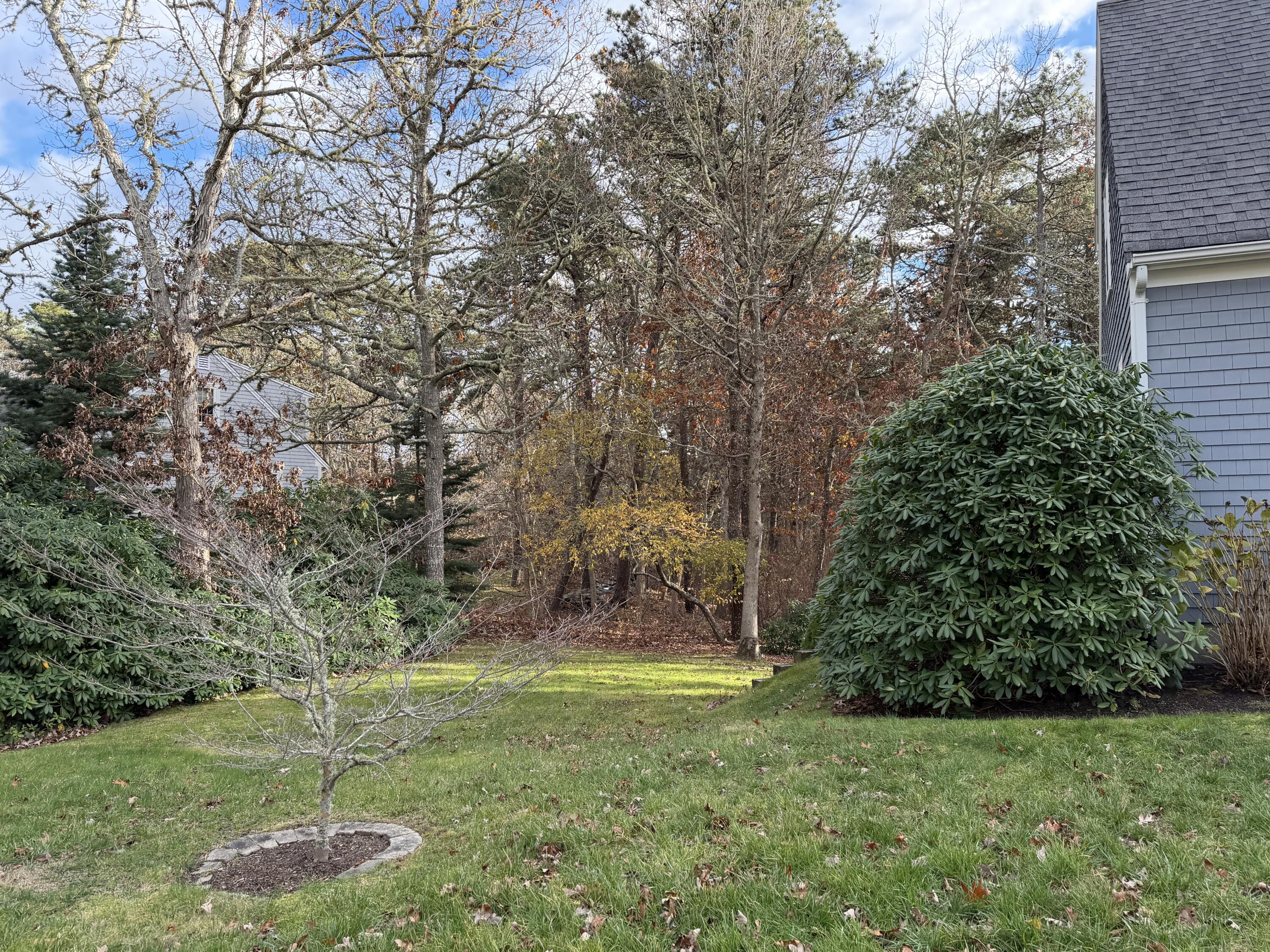 MLS #22505697 image #5