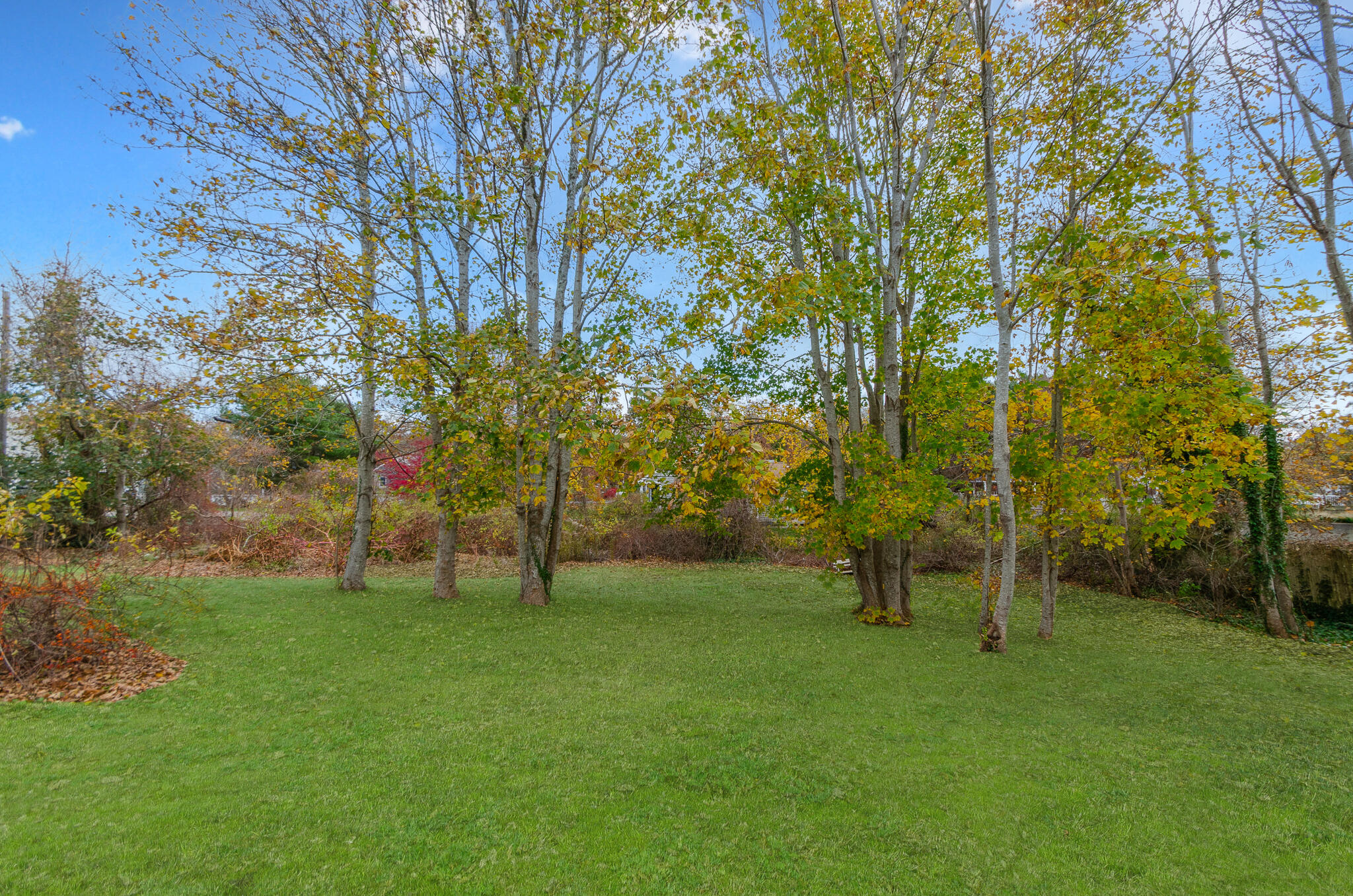 MLS #22505708 image #21