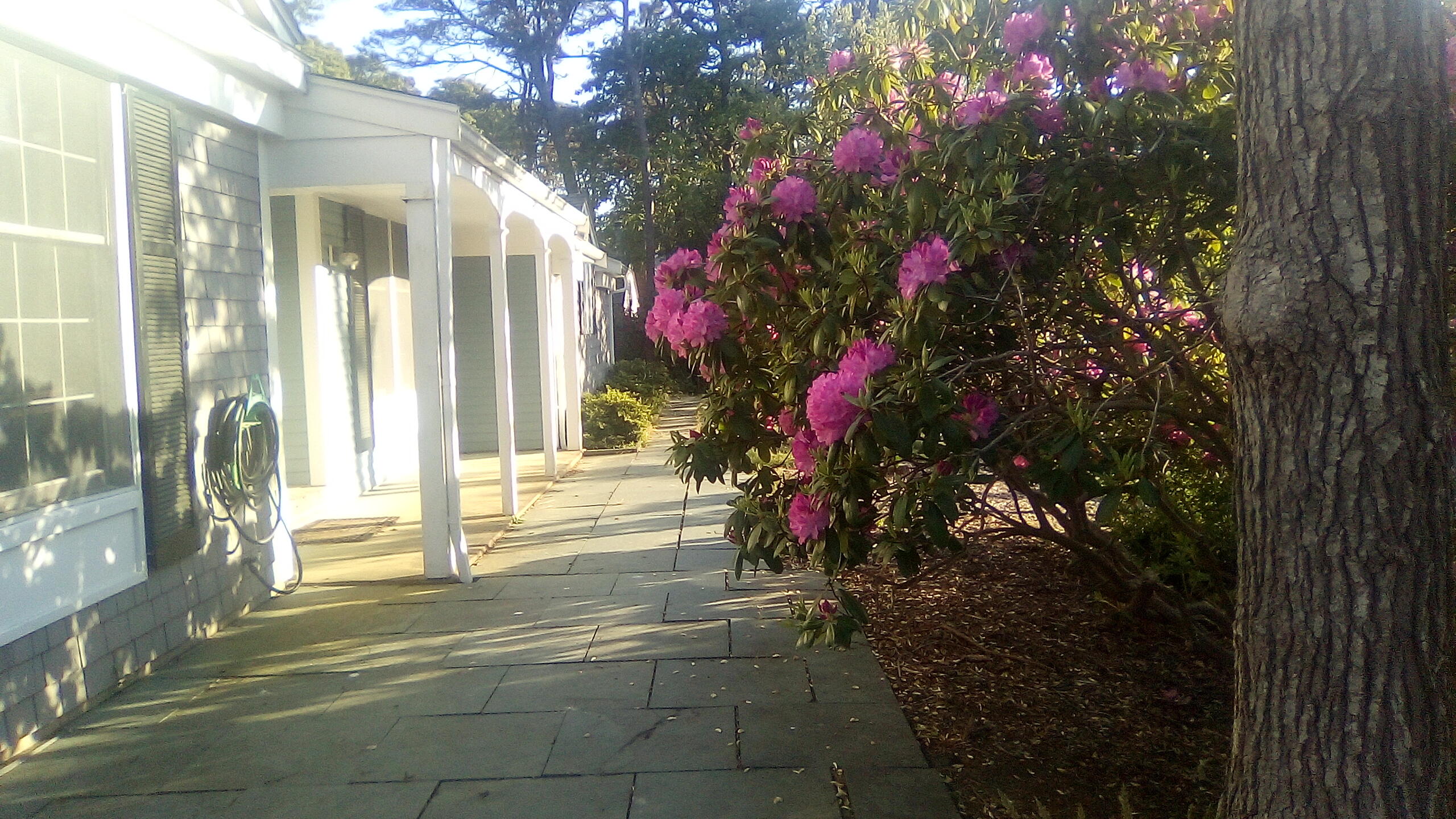 MLS #22505709 image #24