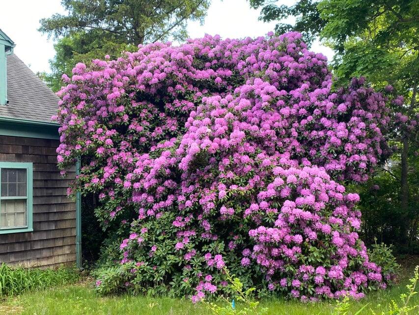 MLS #22505714 image #25