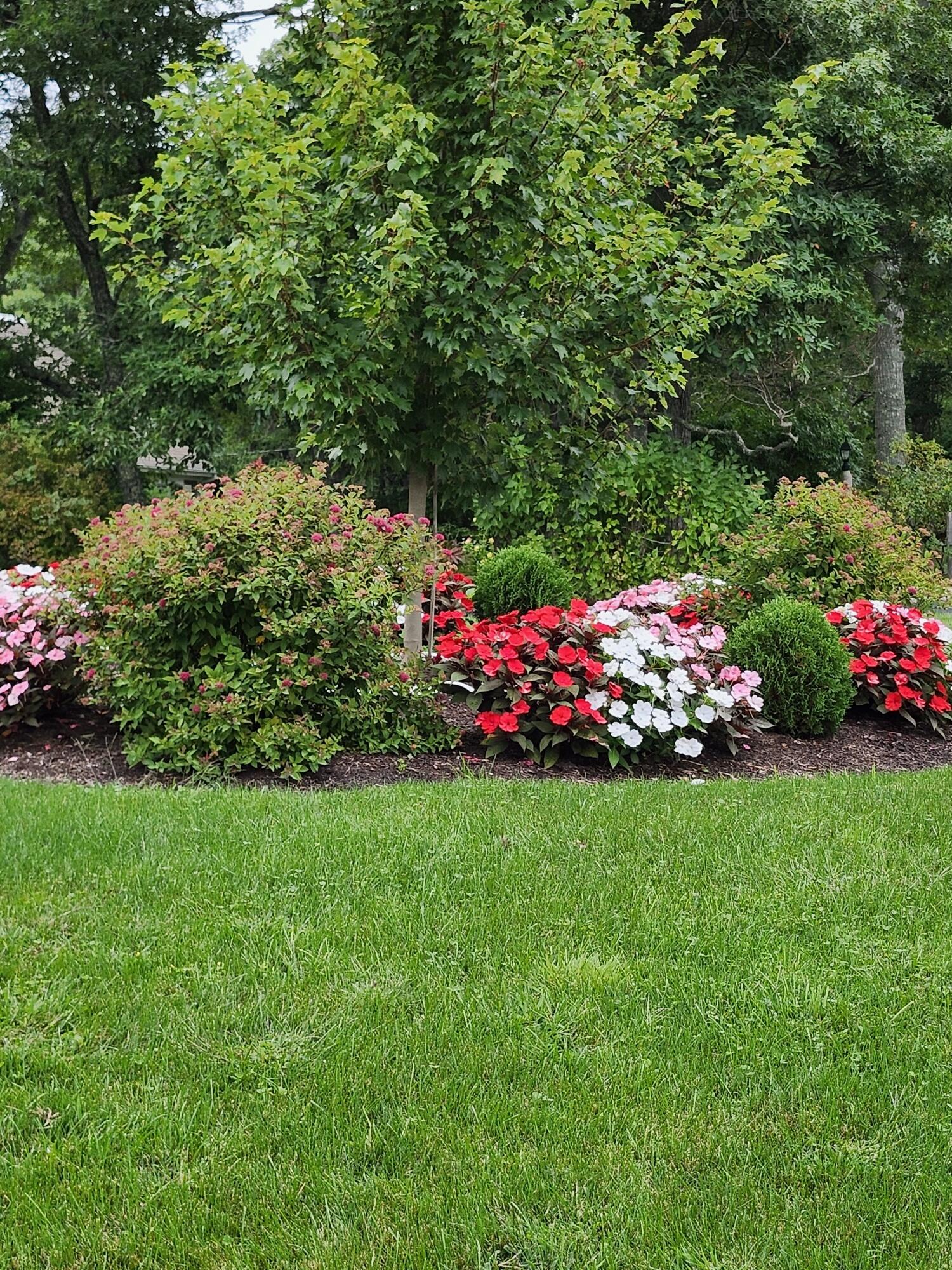 MLS #22505715 image #53