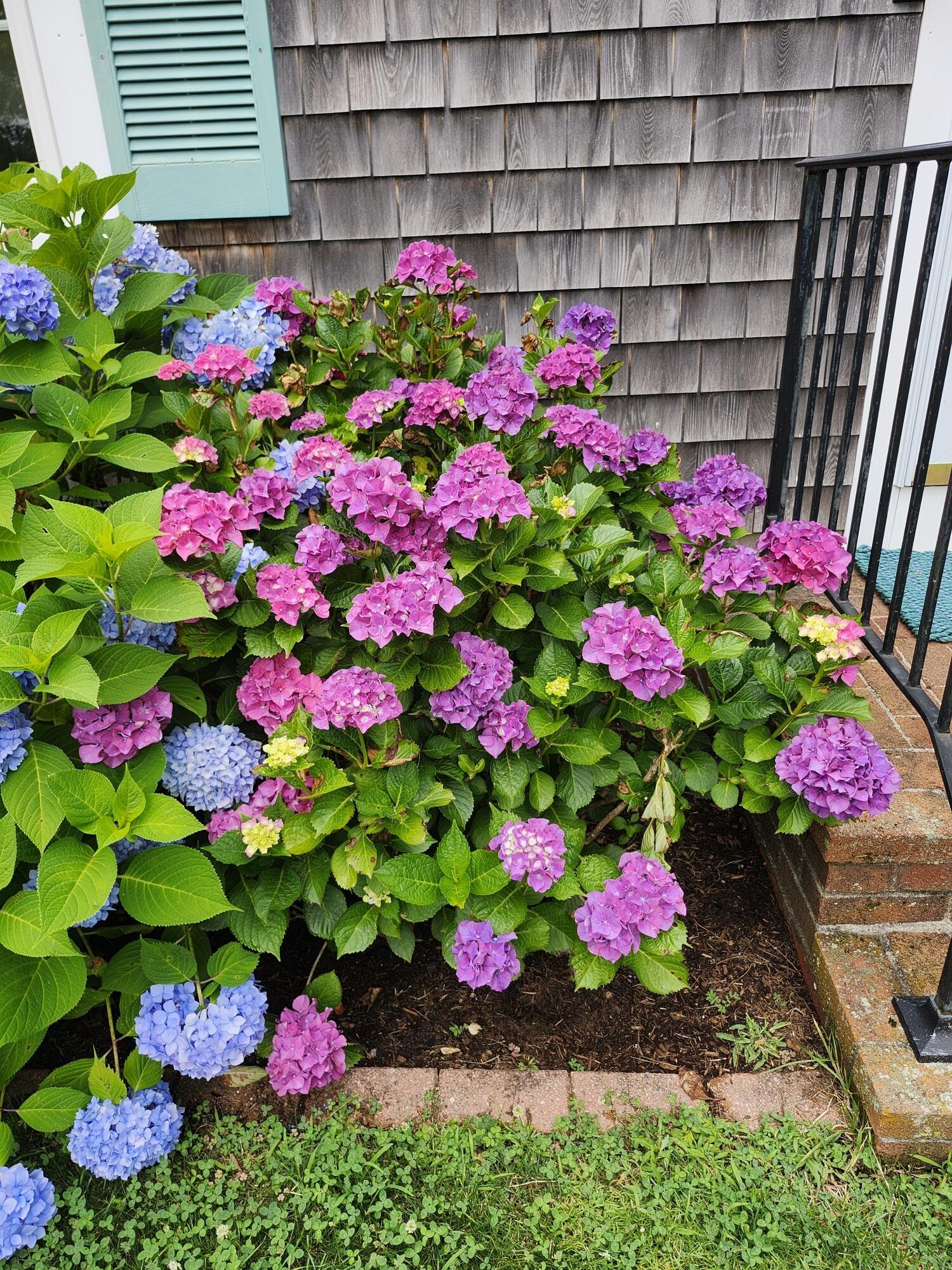 MLS #22505715 image #54