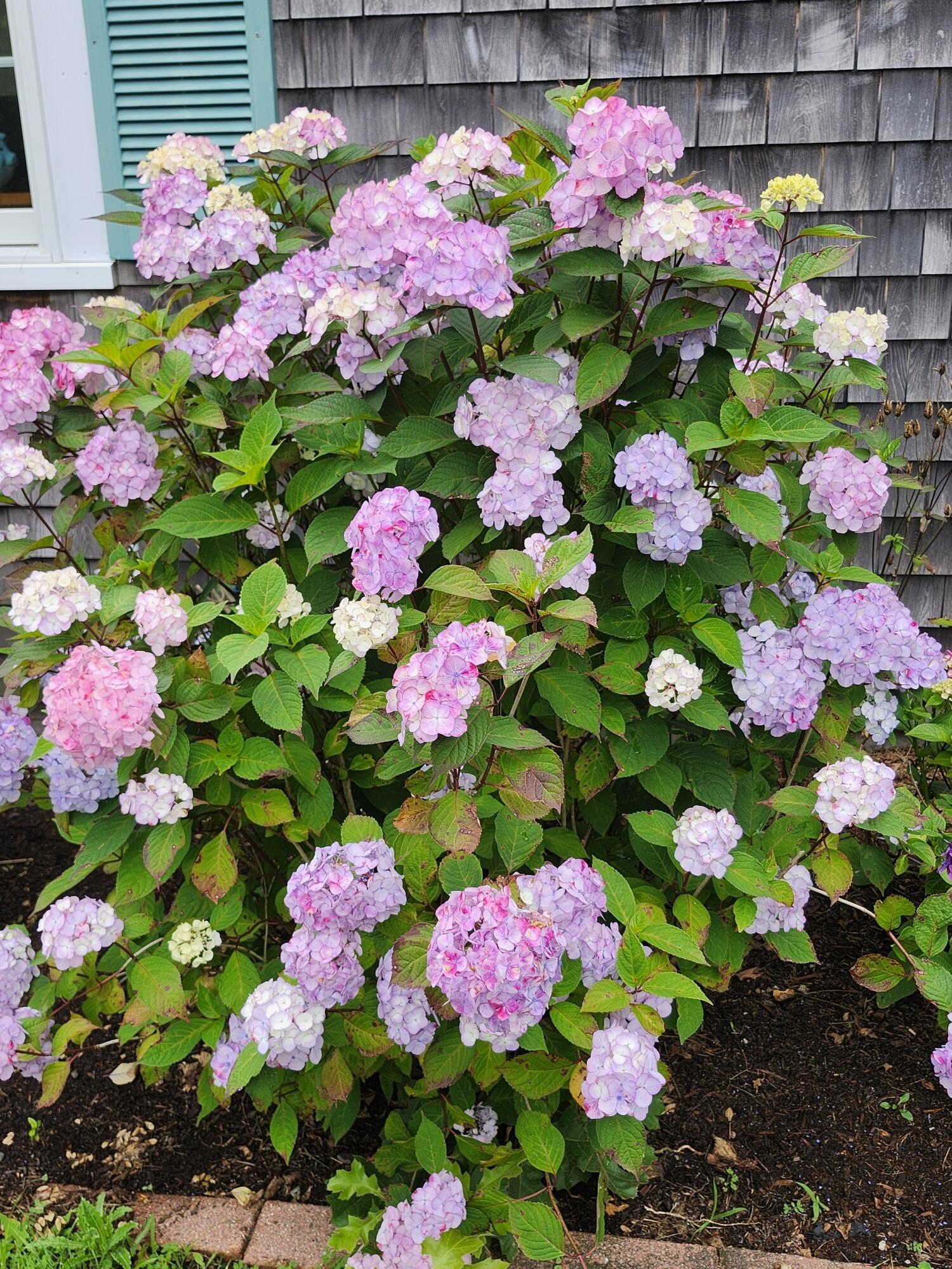 MLS #22505715 image #55