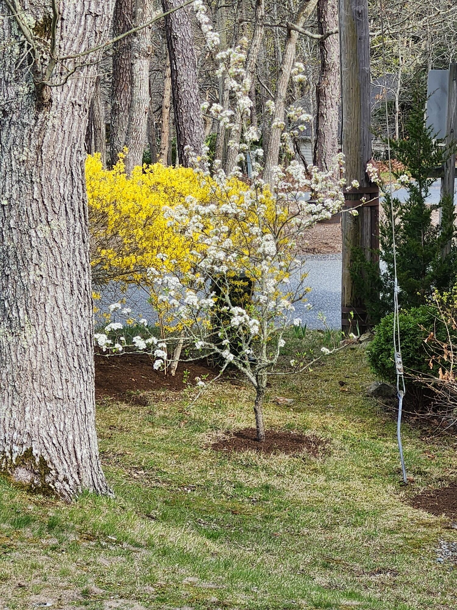 MLS #22505715 image #57