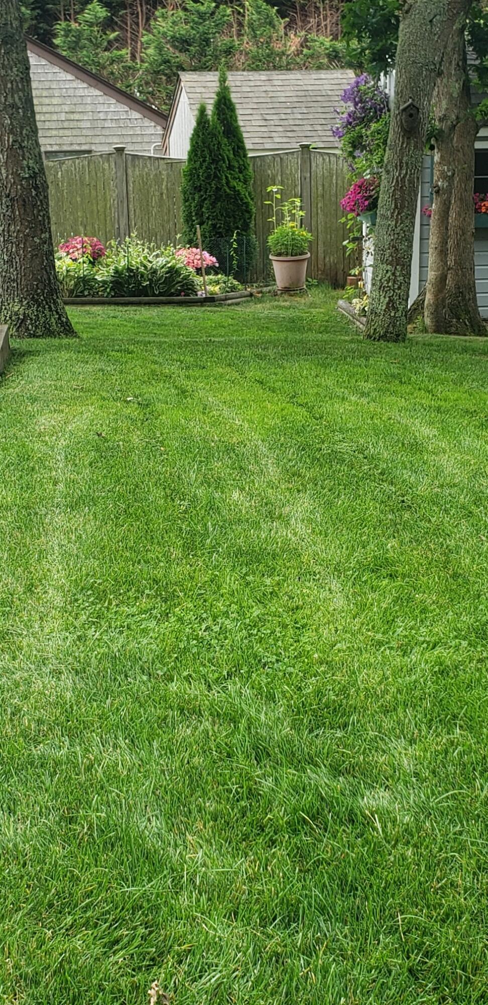 MLS #22505715 image #59