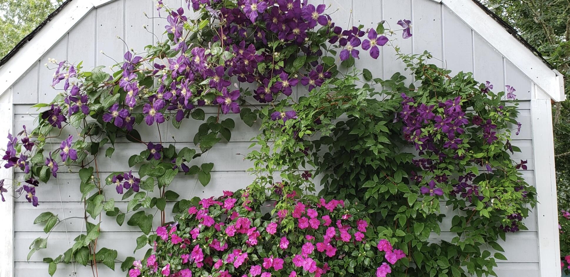 MLS #22505715 image #60