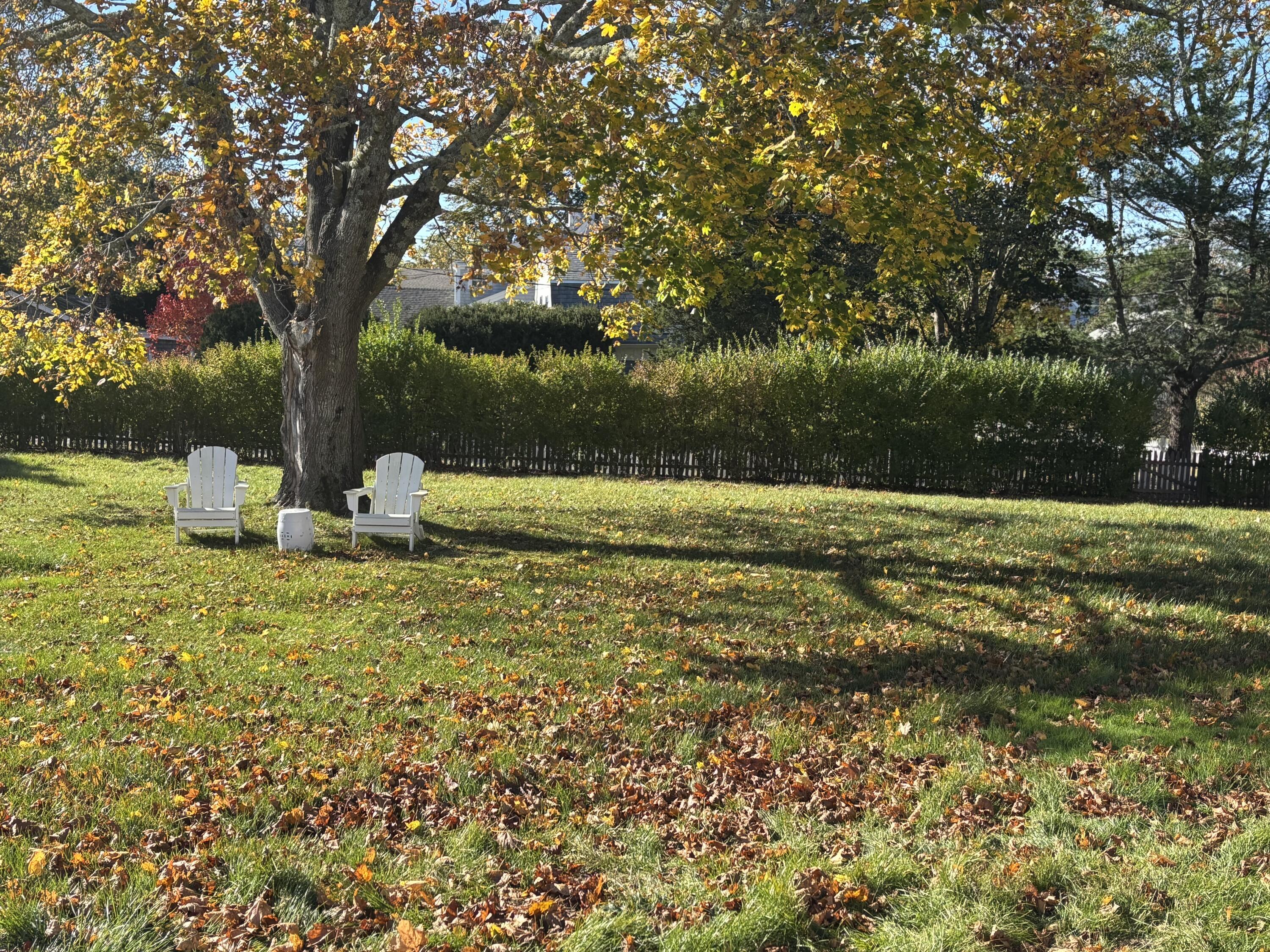 MLS #22505728 image #2