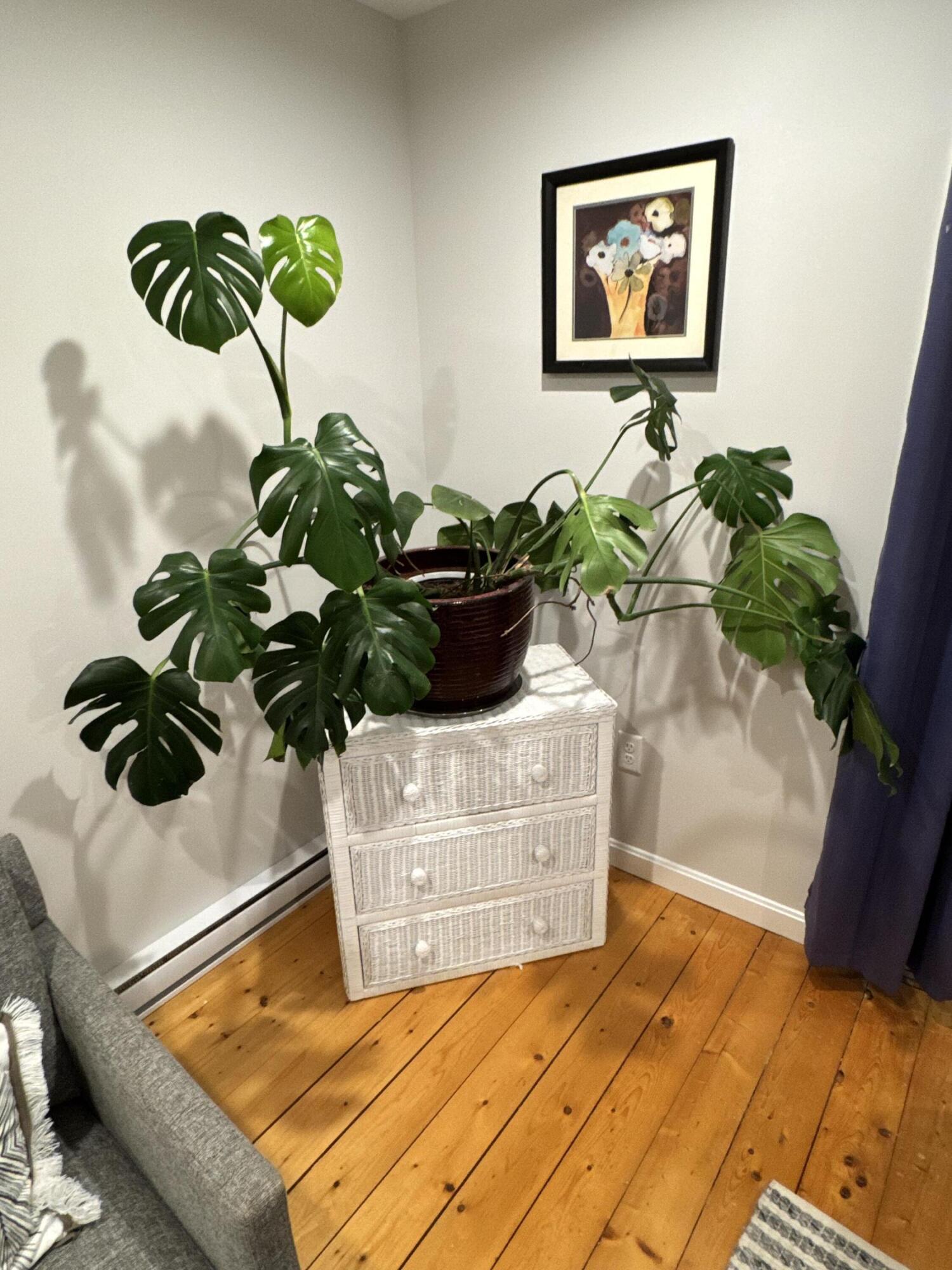 MLS #22505732 image #22