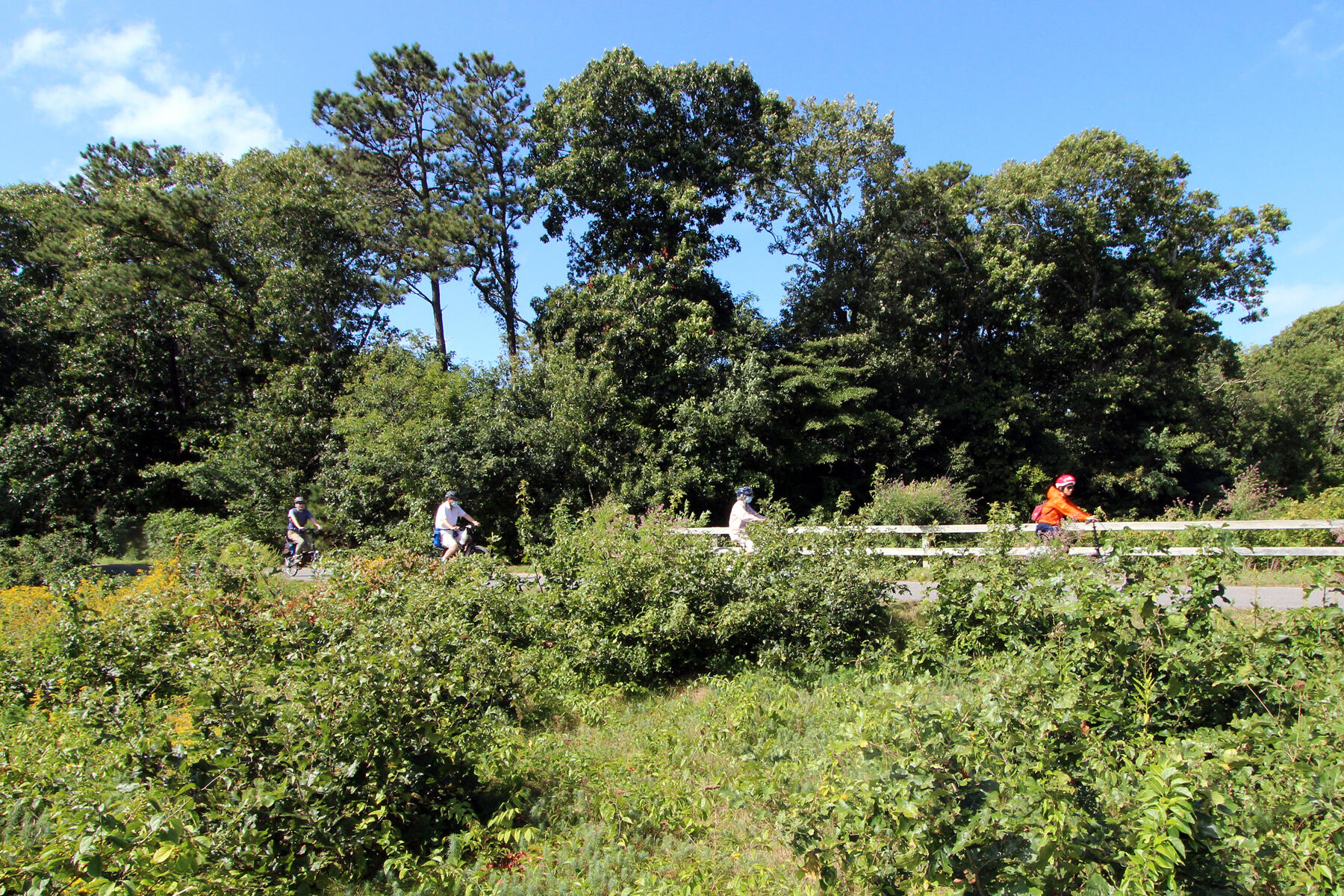 MLS #22505816 image #25