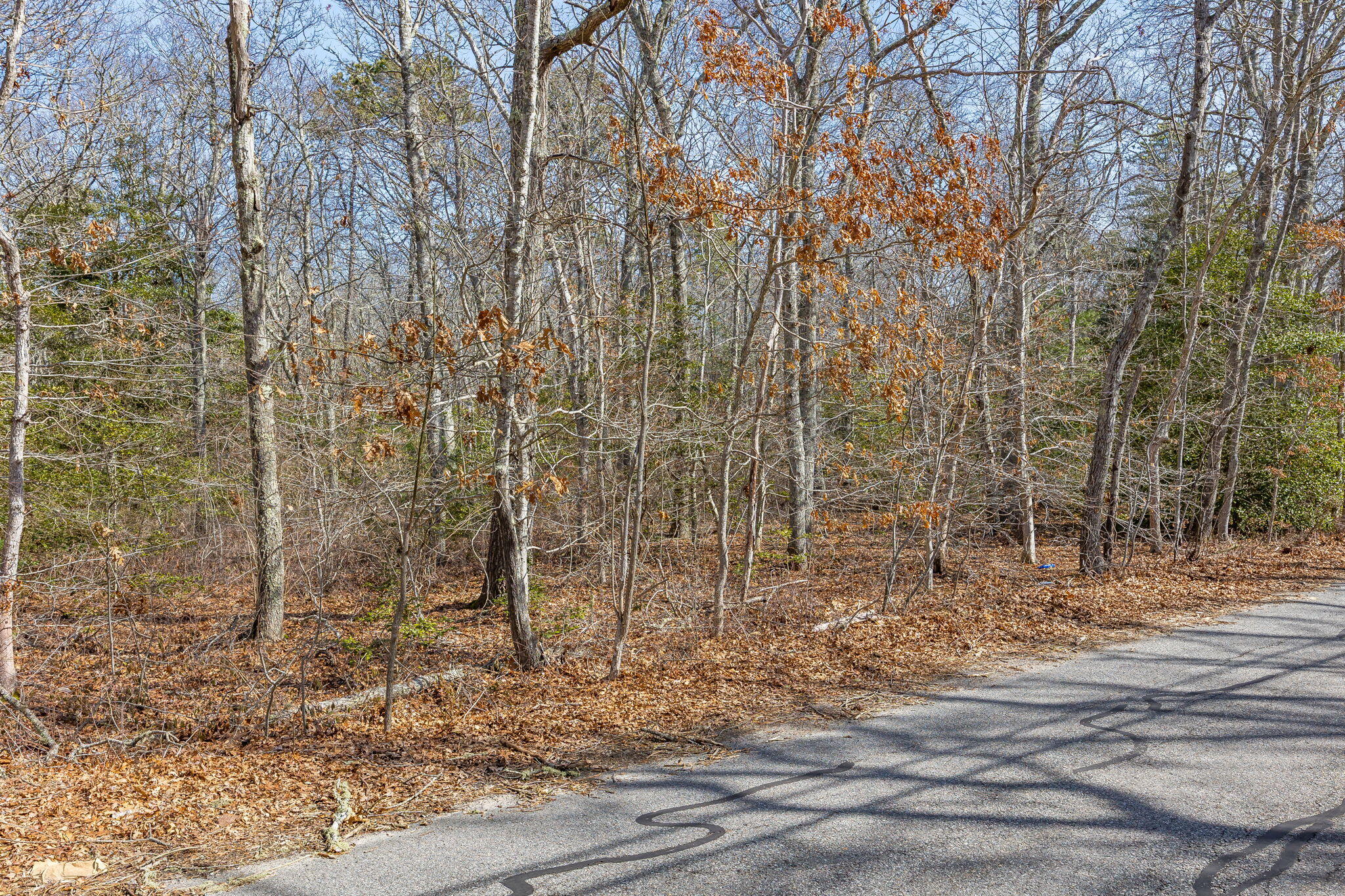 MLS #22601133 image #1