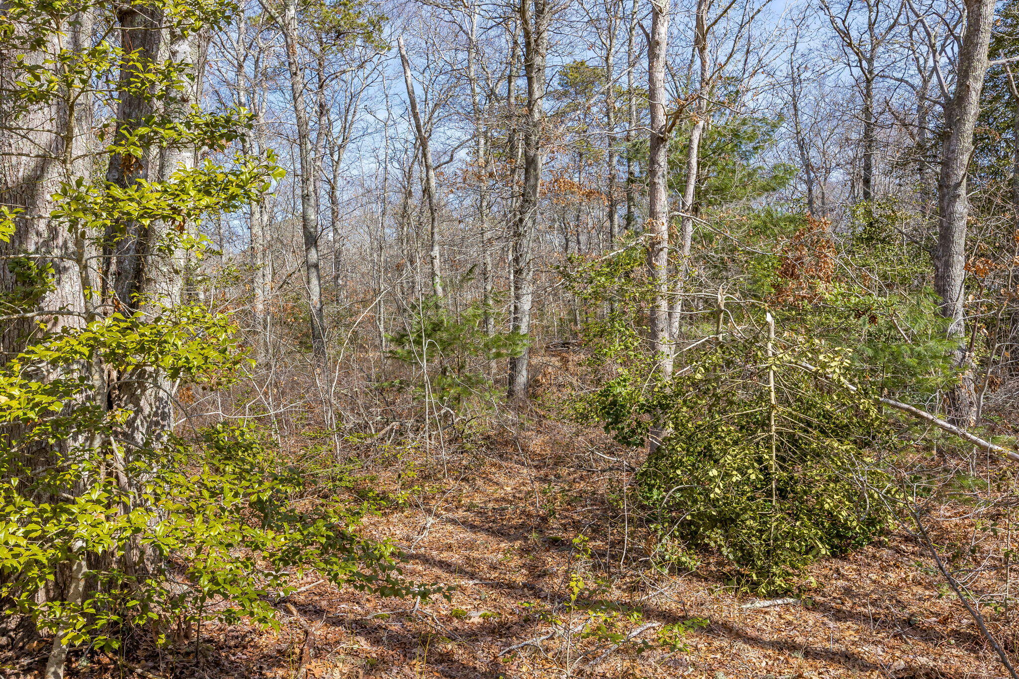 MLS #22601133 image #2