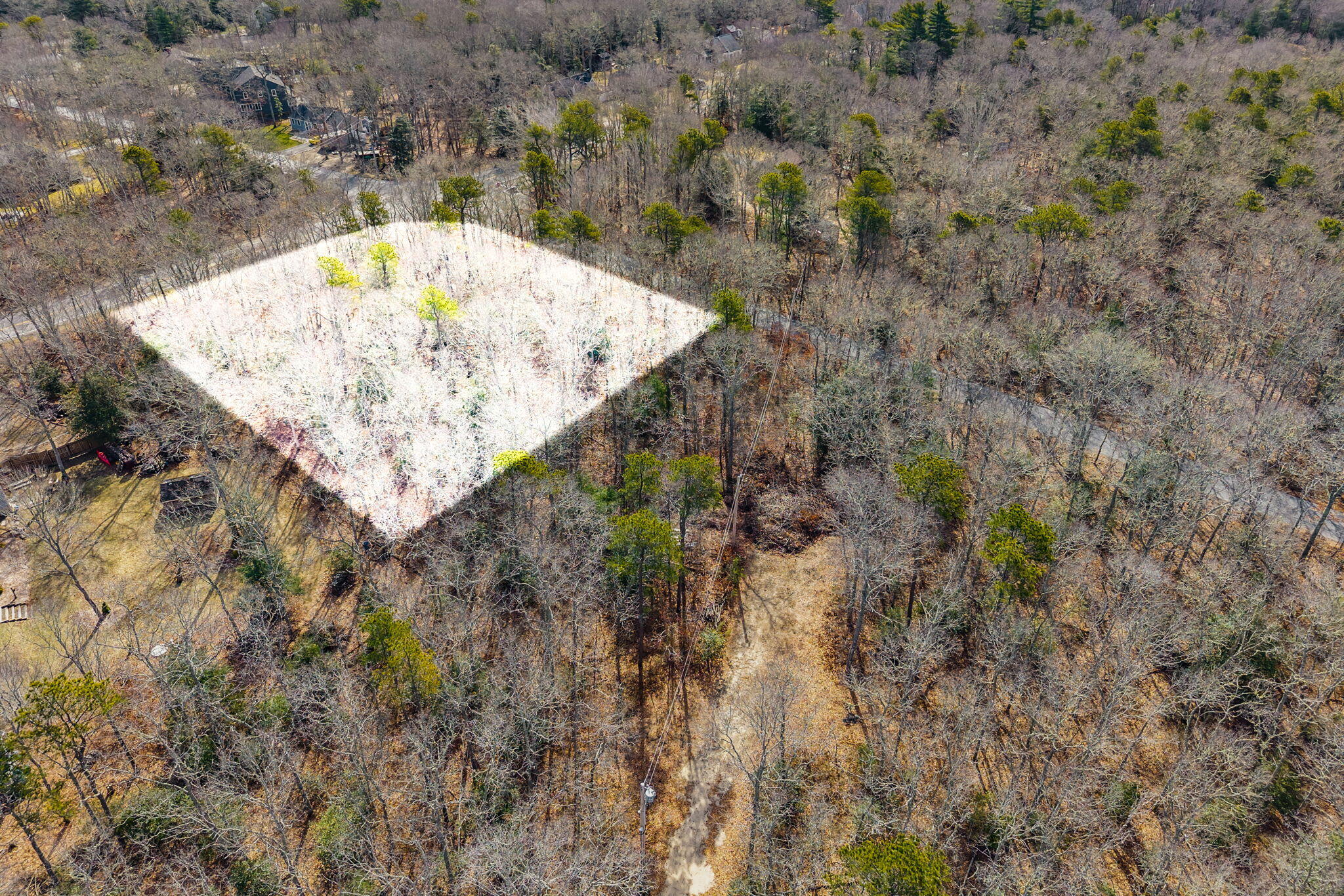 MLS #22601133 image #5