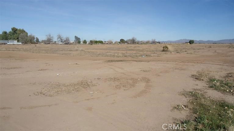 MLS #216030160DA image #5