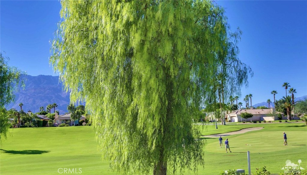 MLS #217002648DA image #31