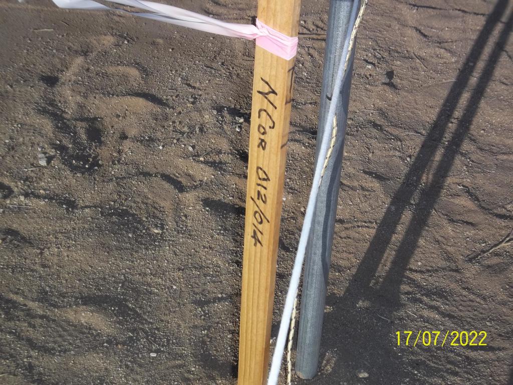 MLS #219082002PS image #18