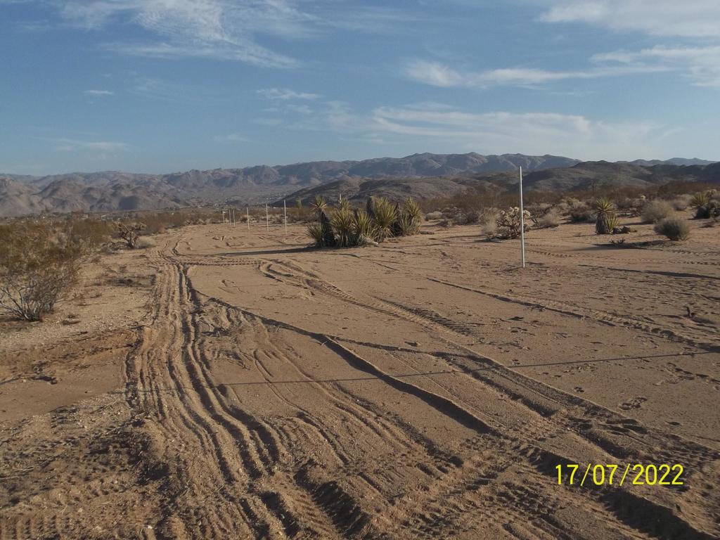 MLS #219082002PS image #20