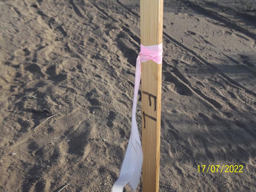 MLS #219082002PS image #25