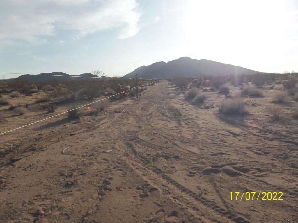 MLS #219082002PS image #27