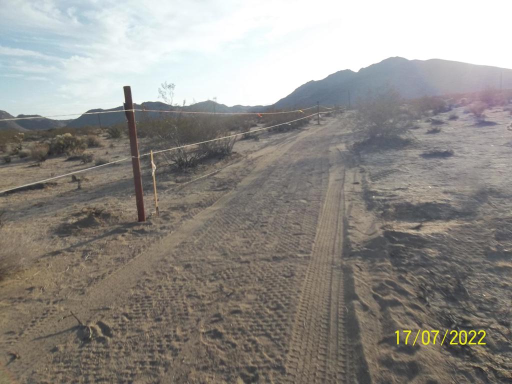 MLS #219082002PS image #31