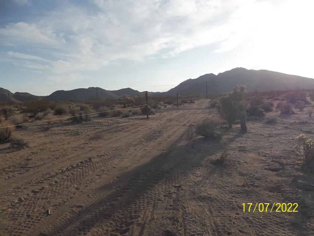 MLS #219082002PS image #32