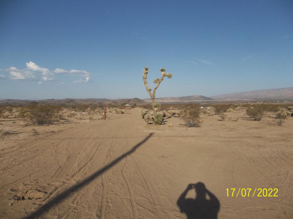 MLS #219082002PS image #4