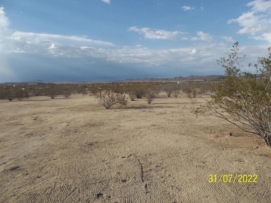 MLS #219082603PS image #7