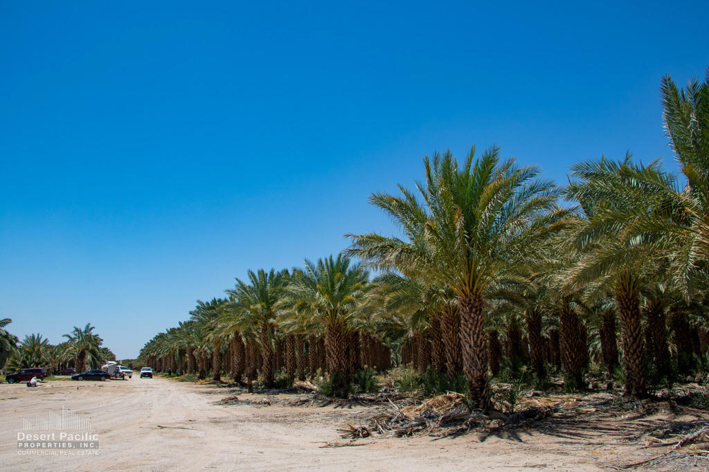 MLS #219097592DA image #2