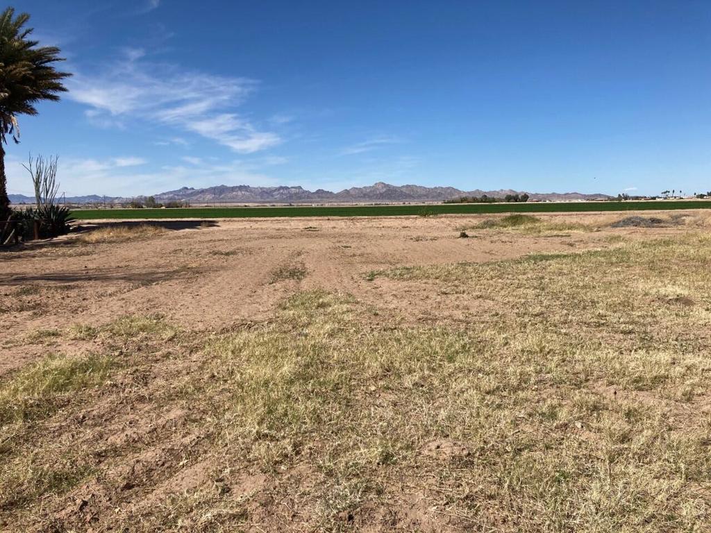 MLS #219100392DA image #3