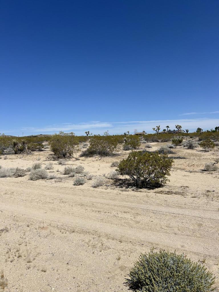 MLS #219105074DA image #5