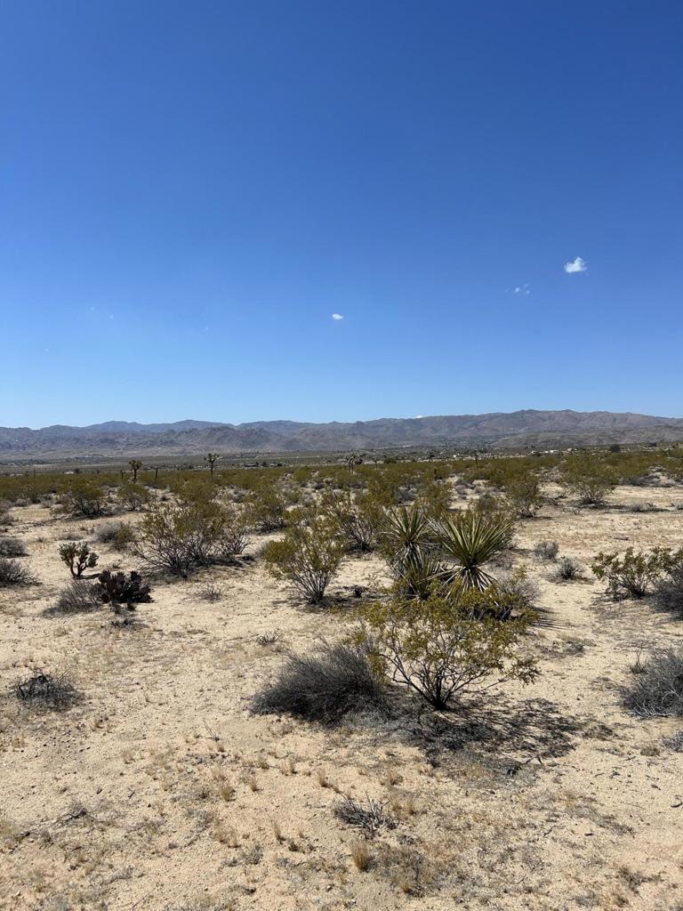 MLS #219105074DA image #6