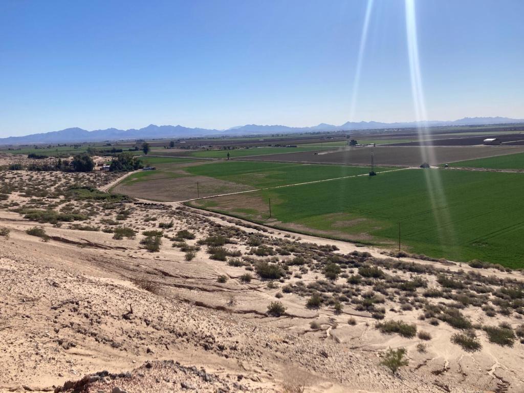 MLS #219107324DA image #5