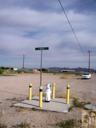 MLS #219107622DA image #4