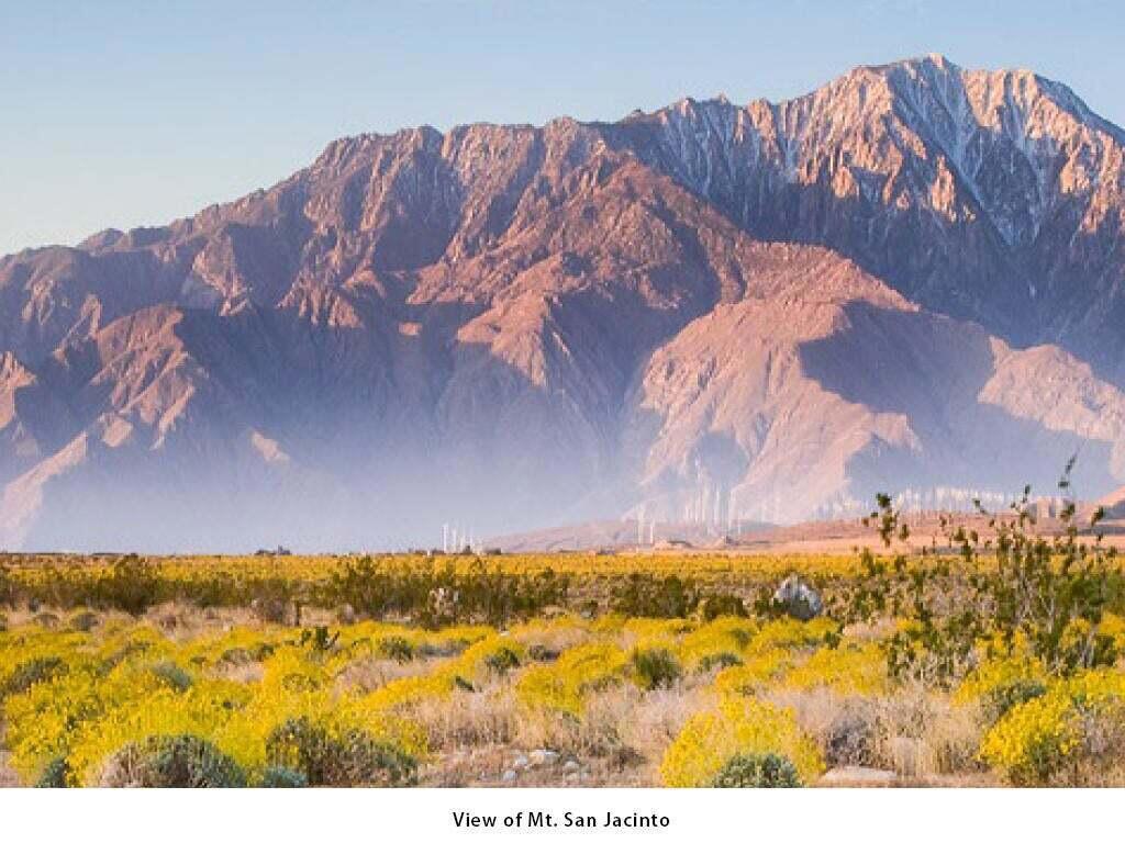 MLS #219112076DA image #7