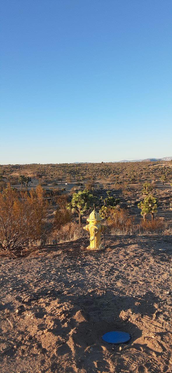 MLS #219114873PS image #3