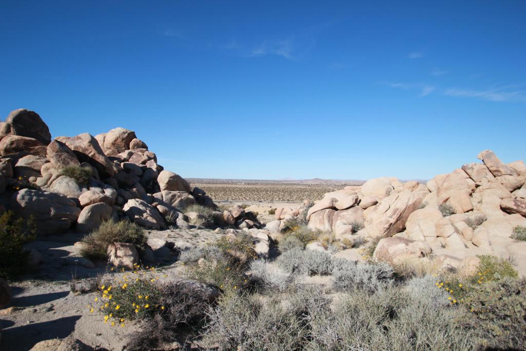 MLS #219116975DA image #10