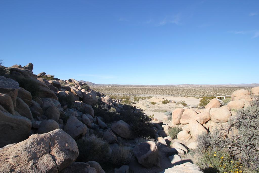 MLS #219116975DA image #11