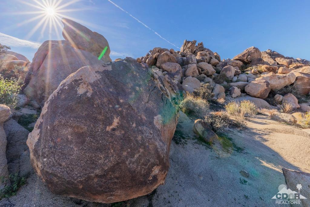 MLS #219116975DA image #4