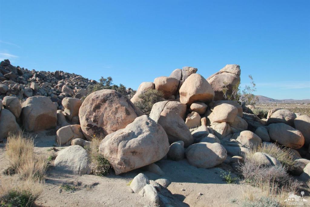 MLS #219116975DA image #5