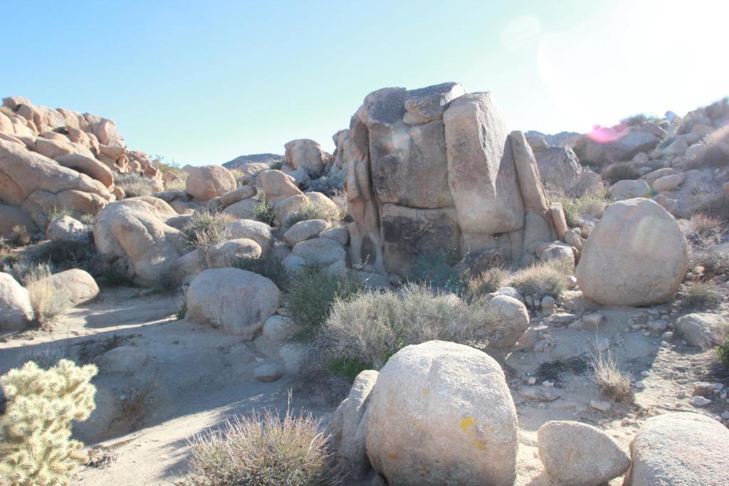 MLS #219116975DA image #6