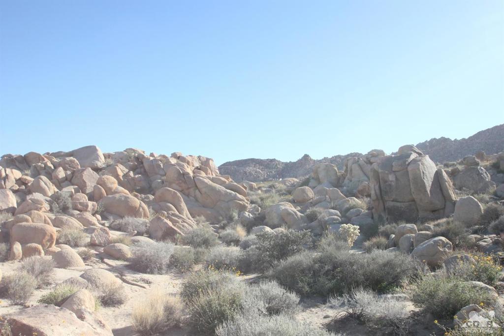 MLS #219116975DA image #7