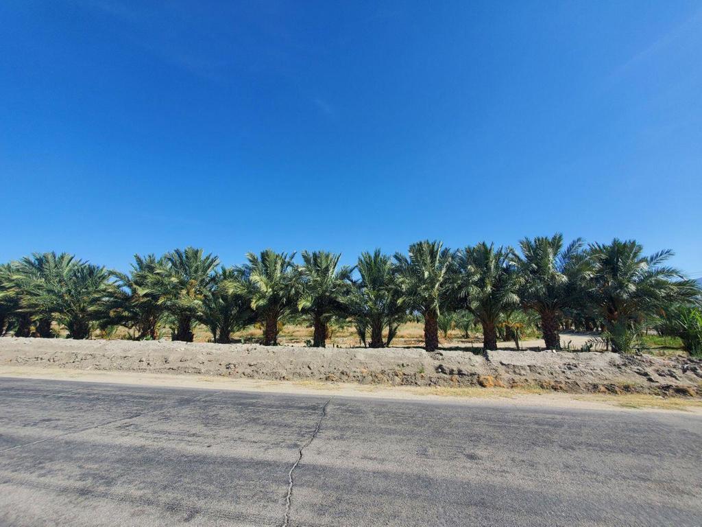 MLS #219117908DA image #2