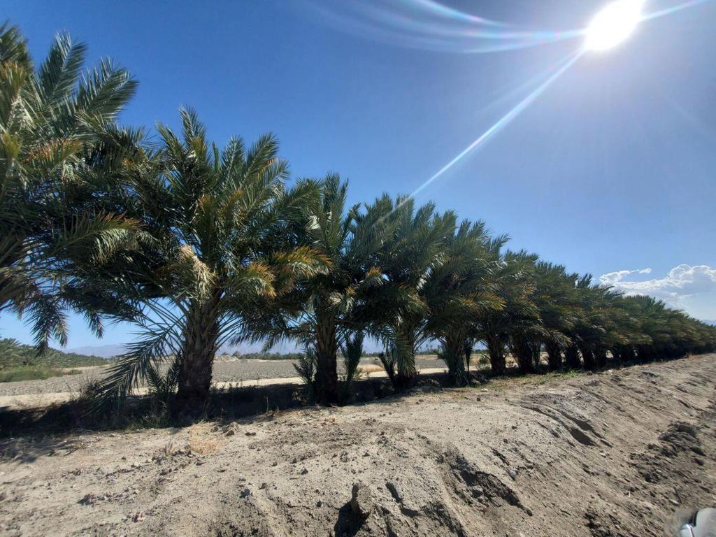 MLS #219117908DA image #4