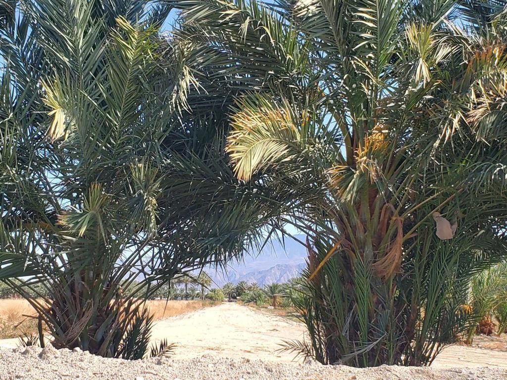 MLS #219117908DA image #7