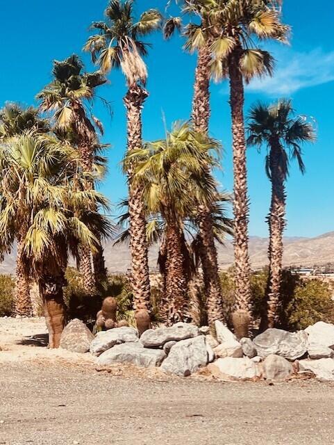 MLS #219118093PS image #1