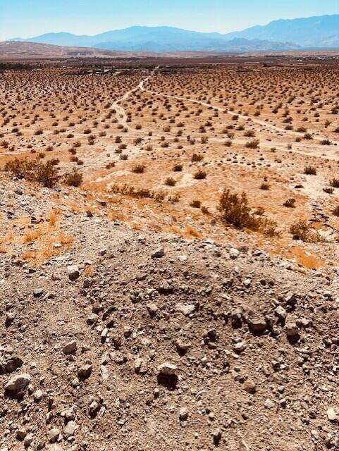 MLS #219118093PS image #4