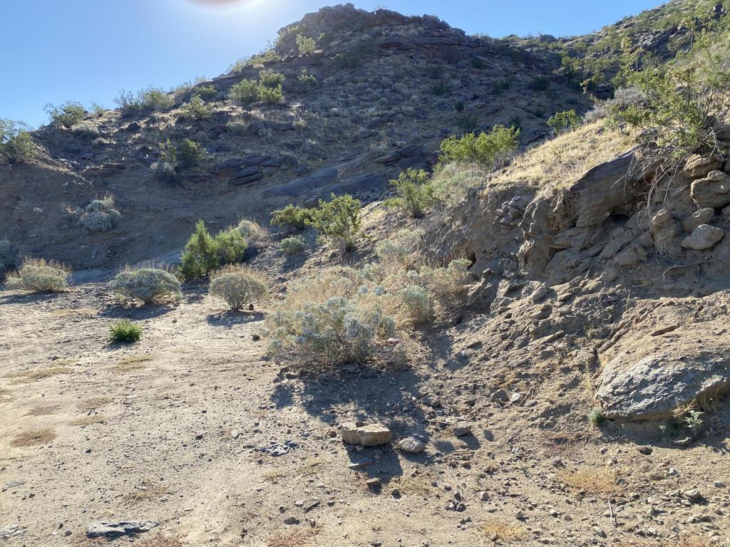 MLS #219120144DA image #6