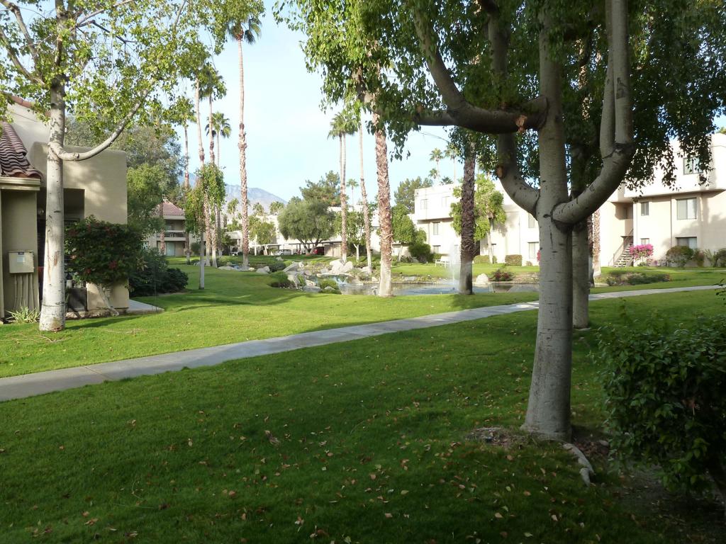 MLS #219121436DA image #14