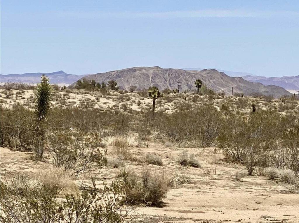 MLS #219122273PS image #14