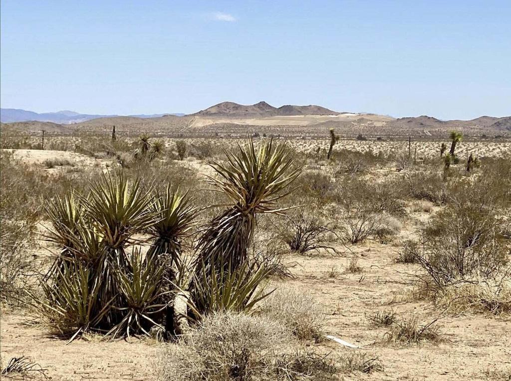 MLS #219122273PS image #23